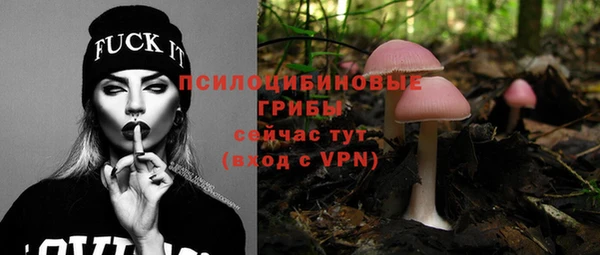 ГАЛЛЮЦИНОГЕННЫЕ ГРИБЫ Алексеевка