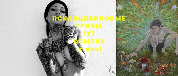 бошки Гусь-Хрустальный