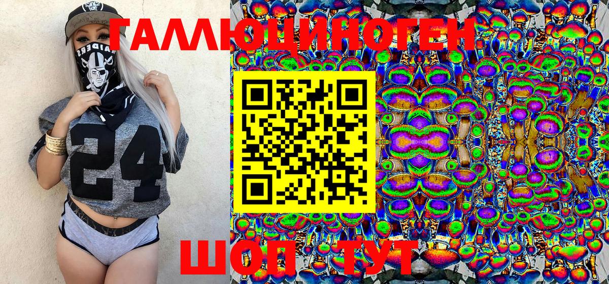 Галлюциногенные грибы Psilocybine cubensis Кострома