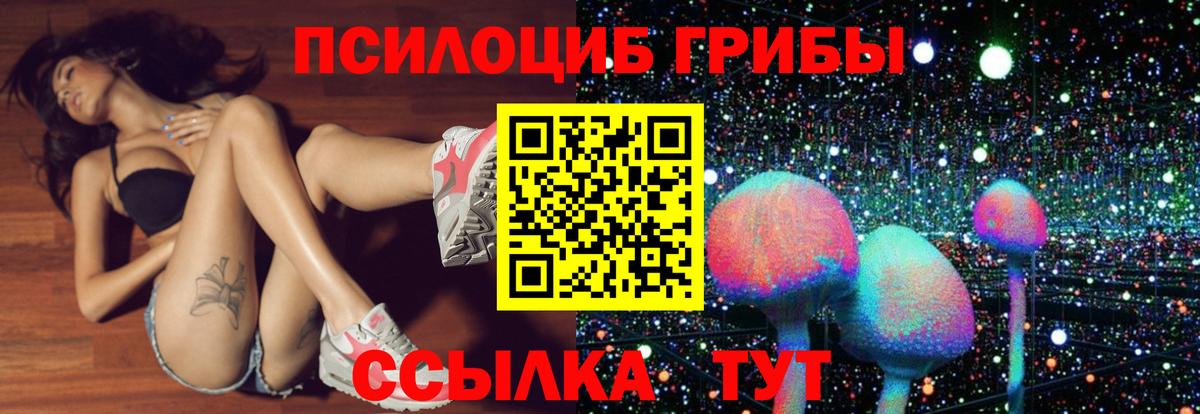 Галлюциногенные грибы Cubensis  Вход с VPN  Галлюциногенные грибы прущие грибы  Кострома 